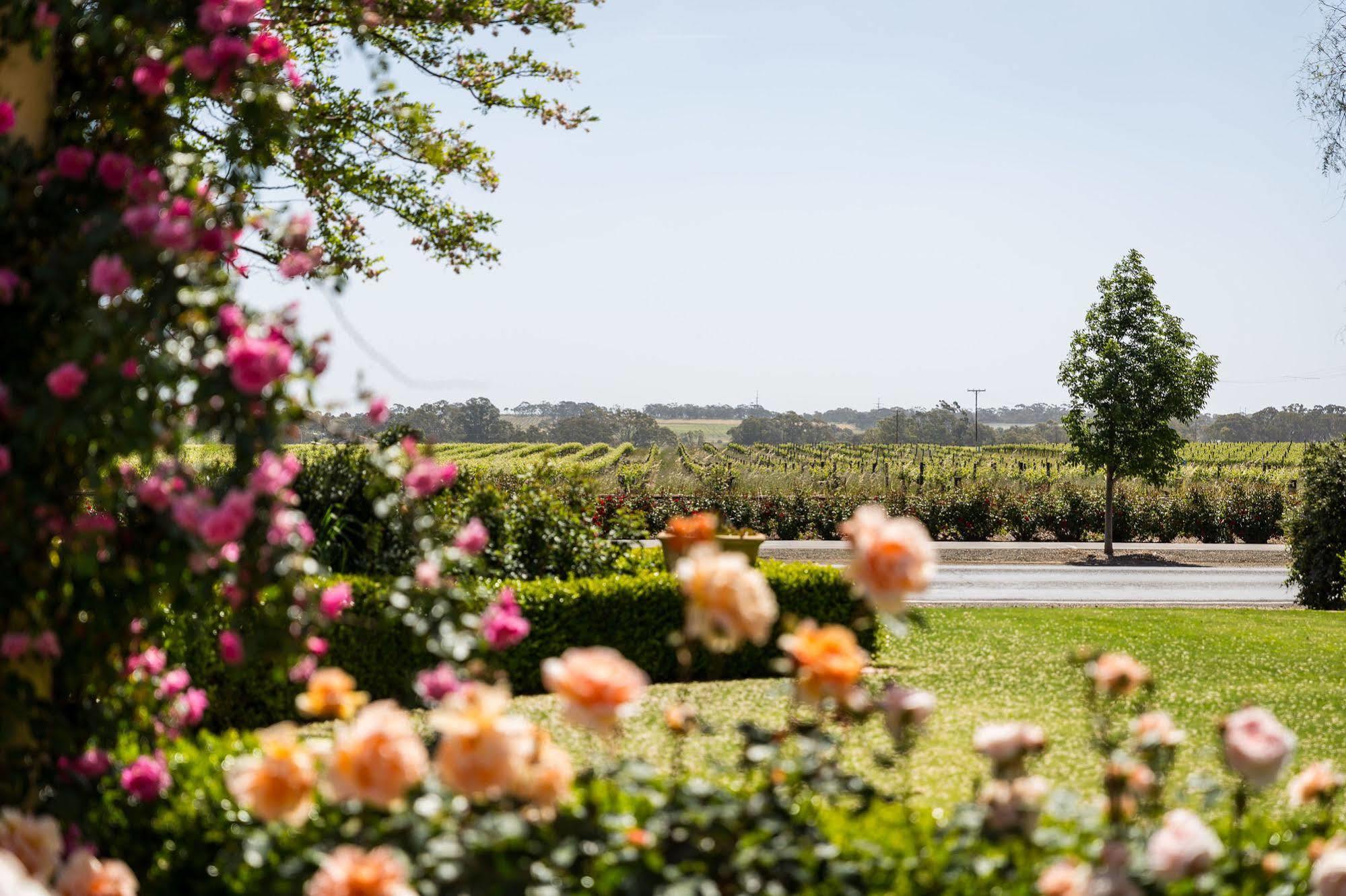 Barossa House Bed & Breakfast Tanunda Eksteriør bilde