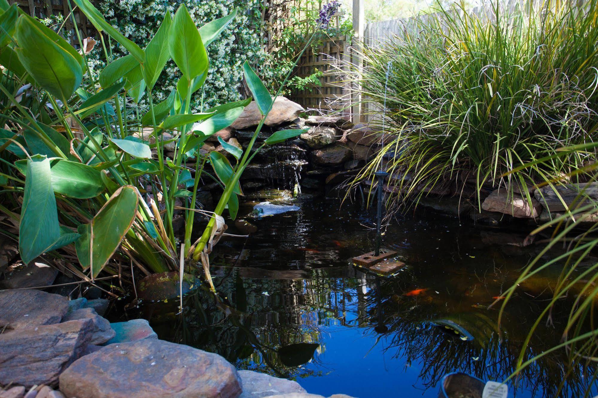 Barossa House Bed & Breakfast Tanunda Eksteriør bilde